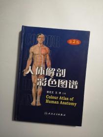 人体解剖彩色图谱