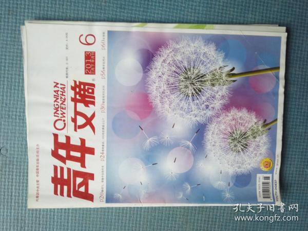 青年文摘2013.6（总第524期）【秦玥飞：耶鲁毕业的村官；格林童话：200年的黑暗之心？小蔡-梅西传奇；创意方巾：梦想就在方寸间；王小谟：75岁不失棱角；杨丽萍的手；曾国藩的清贫生活】