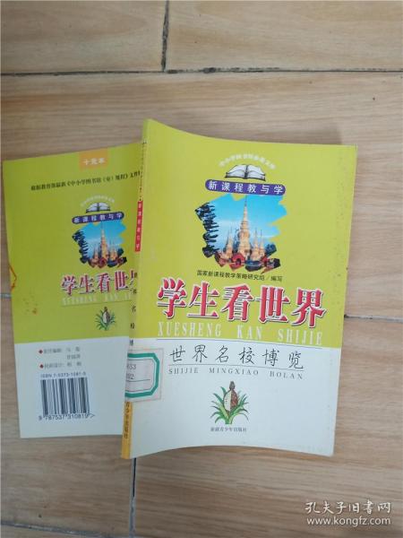 新课程情景教学—化学反应