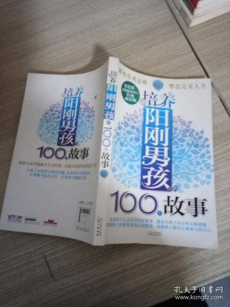 好故事成就更好的自己：培养阳刚男孩的100个故事（白金成长版）