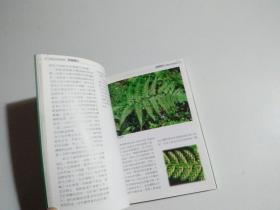 溪头蕨类植物解说手册