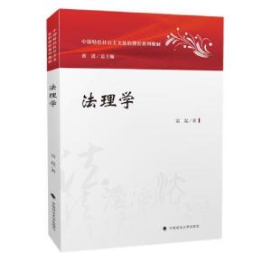 法理学 雷磊 中国政法大学出版社9787562093602