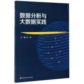 数据分析与大数据实践白玥华东师范大学出版社9787576000894