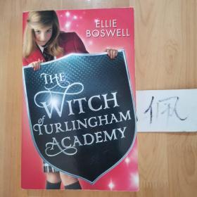 The Witch Of Turlingham Academy