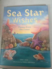 Sea Star Wishes