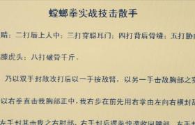 螳螂拳概论及拳谱   (秘传螳螂拳，实战性极强)  432元包邮   书中另外夹送4页螳螂拳实战技击散手绝招原件