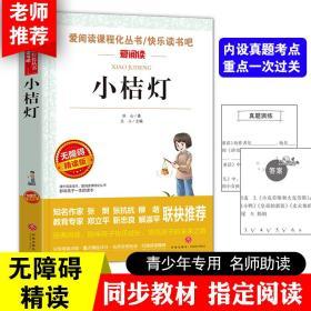 小桔灯 爱阅读语文新课标必读丛书分级课外阅读青少版（无障碍精读版）