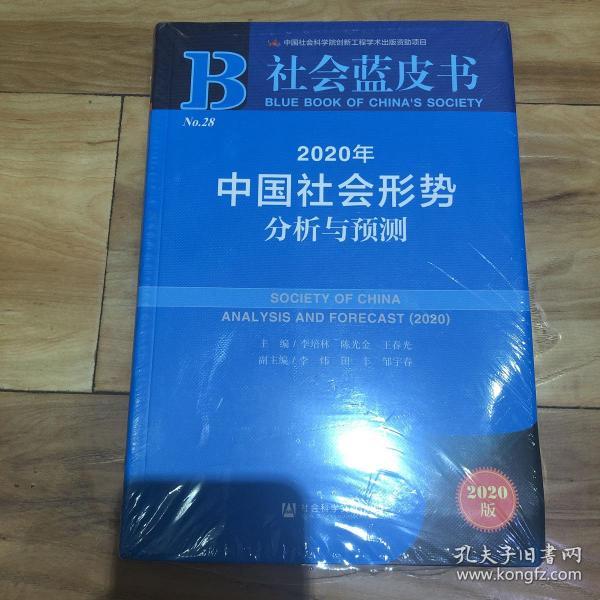 社会蓝皮书：2020年中国社会形势分析与预测