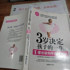 3岁决定孩子的一生1：蒙台梭利早期教育法