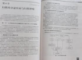 妇科肿瘤内分泌学 精装未阅书（全店满30元包挂刷，满100元包快递，新疆青海西藏港澳台除外）