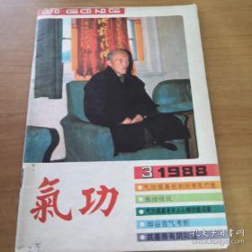 《气功》1988年第3期 dlq2