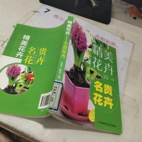 精品花卉：名贵花卉   2013年6月