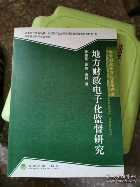 地方财政电子化监督研究