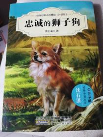 中外动物小说精品（升级版）：忠诚的狮子狗