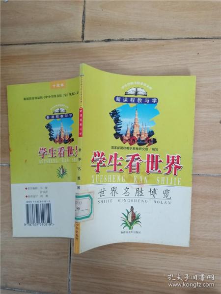 新课程情景教学—化学反应