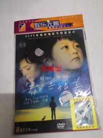 DVD          看上去很美