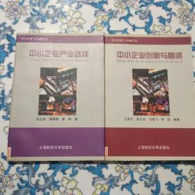 中小企业与金融丛书：中小企业产业选择、中小企业创新与融资  二册