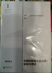 中国的新型小农经济：实践与理论（实践社会科学与中国研究·卷一）