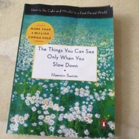 The Things You Can See Only When You Slow Down: How to Be Calm and Mindful in a Fast-Paced World（英文原版）