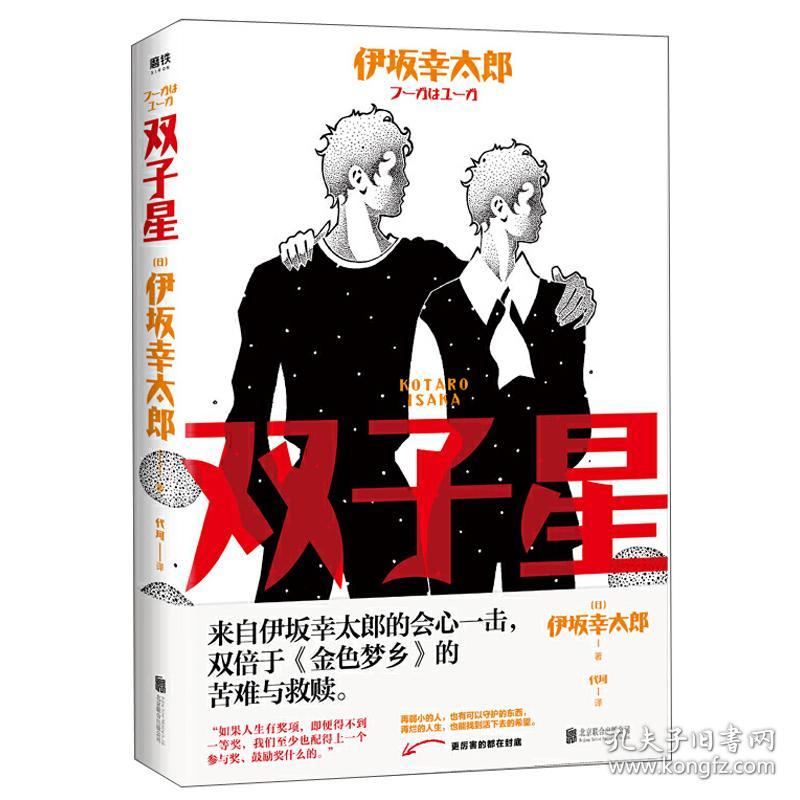 长篇小说：双子星