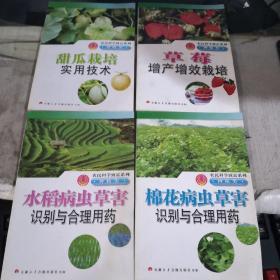 农民科学致富系列 种植类；水稻病虫草害识别与合理用药、棉花病虫草害识别与合理用药、甜瓜栽培实用技术、草莓增产增效栽培（四本合集）