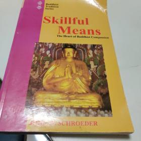 SKILLFUL MEANS THE HEART OF BUDDHIST COM PASSION