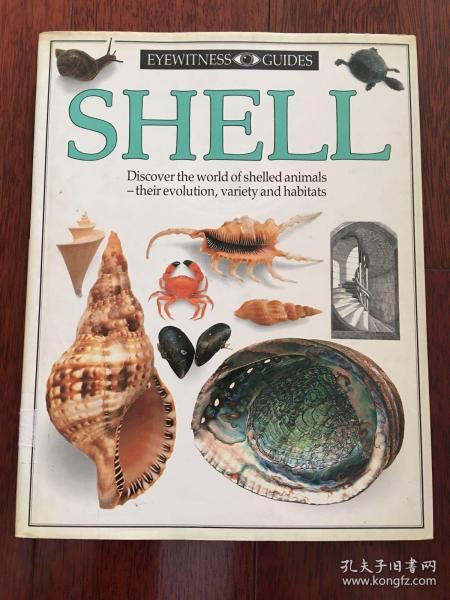 DK英文版 发现者丛书 Shells: Photographic Recognition Guide 贝壳类生物百科 ktg6下柜1