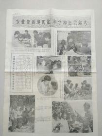 昭乌达科技报  1979年18期