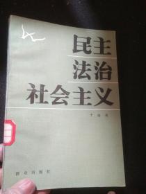 民主法治社会主义