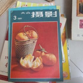 大众摄影 1981年第3期