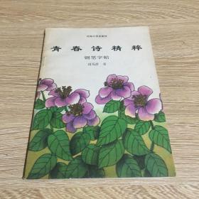 青春诗精粹 钢笔字帖