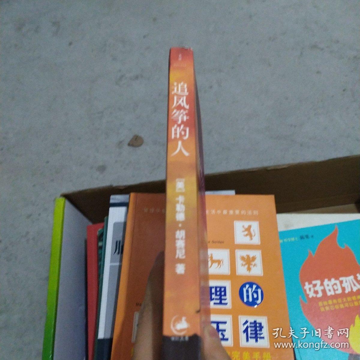 追风筝的人