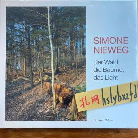 Simone Nieweg, 森林，树木，光