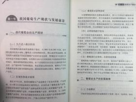 葡萄高效栽培技术 农业种植系列读物书籍图文版科学致富种植养殖农村安全生产农业技术提升训练