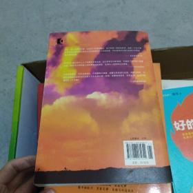 追风筝的人