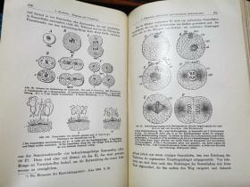 PUSCH'S LEHRBUCH DER ALLCEMEINEN TIERZUCHT 汉森博士 动物育种 【1920廿费迪南斯图加特出版社]]补图