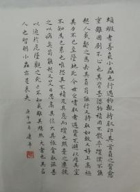 山东省聊城市书法家张庆年，袖珍条幅，精品小楷，书唐人柳宗元短文《负蝂传》全文