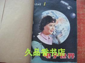 电子世界  1979 1.2.3期+1980全年1-12期合订本（共15期）