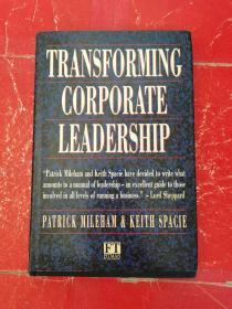successful organizational change（成功的组织变革）精装本