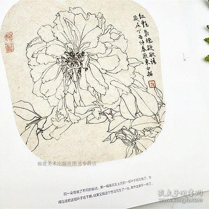 白描技法精解8册 禽鸟竹子荷花牡丹仙鹤梅花 中国工笔画白描技法动物花鸟白描底稿勾线画谱美术绘画初学者入门基础教程书籍