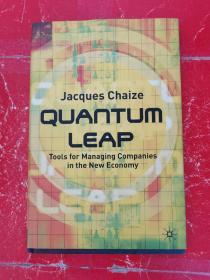 Quantum Leap: Tools for Managing Companies in the New Economy（量子飞跃: 在新经济中管理公司的工具）