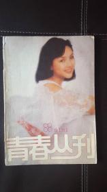 青春丛刊（1988年第4期，总第22期），文学双月刊