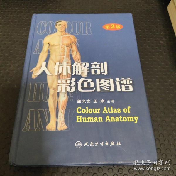 人体解剖彩色图谱