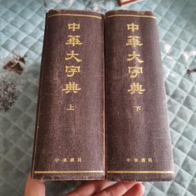 中华大字典（缩印本全二册）