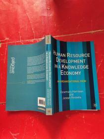 Human Resource Development in a Knowledge Economy: An Organizational View: An Organisational View