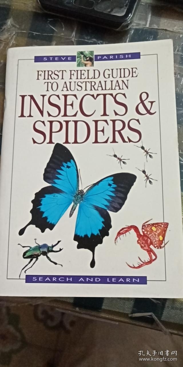 外文原版 INSECTS SPIDERS