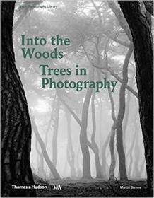 Into the Woods: Trees 走进丛林：树木摄影 英文原版 艺术书籍