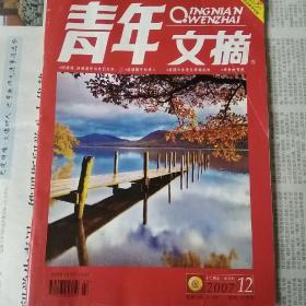 2007年第12期青年文摘旧杂志