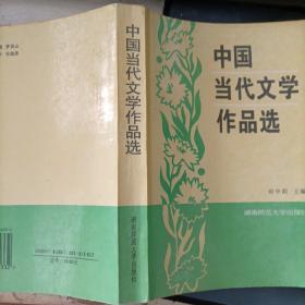 中国当代文学作品选