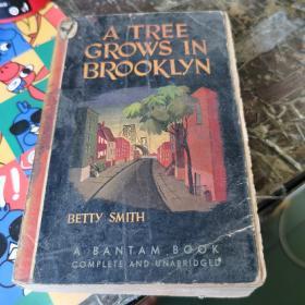 a tree grows in brooklyn 1947年印